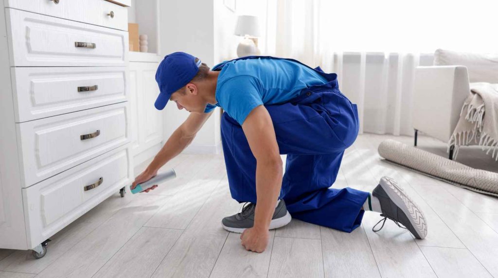 הדברת עכברים